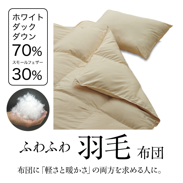 ふわふわ羽毛布団とカバーの6点セット ブラウン SLF-01(BR)　