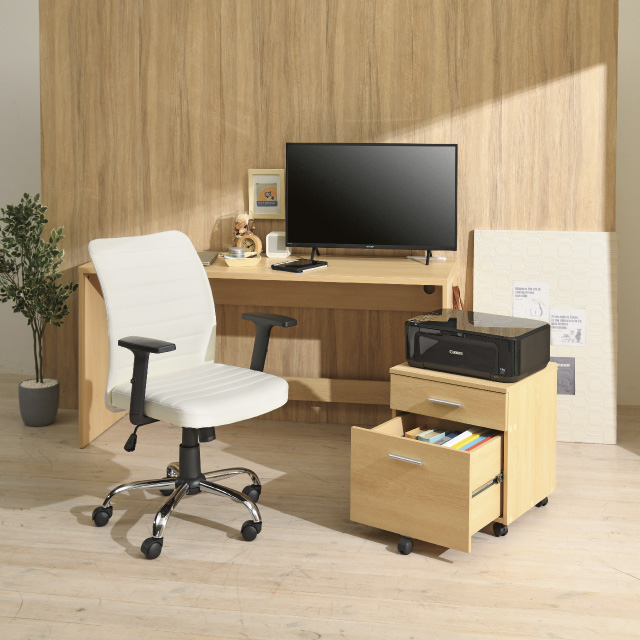 アームチェア ホワイト SLC-105(IV)