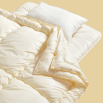 軽量ウォッシャブル布団2点セット